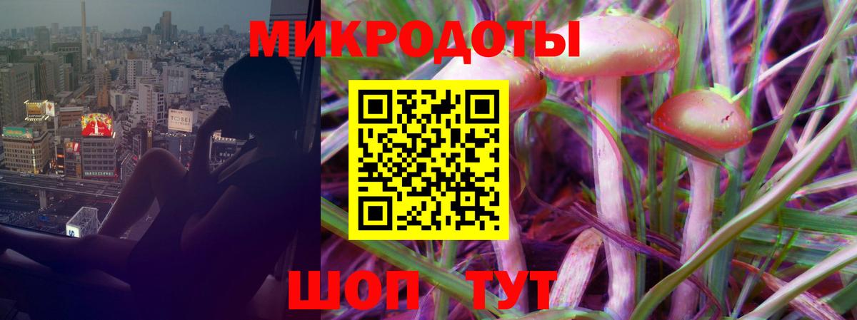 Псилоцибиновые грибы Psilocybine cubensis Саки